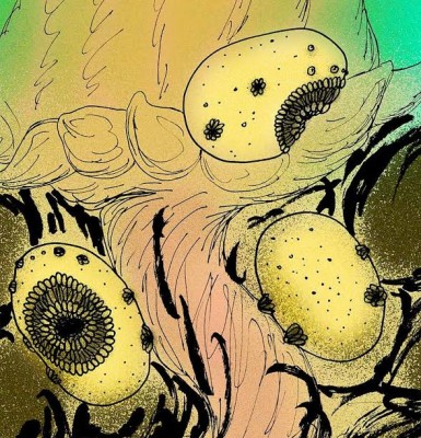 Toronto: Tiny, bag-like prehistoric creature could be our ancient ancestor  