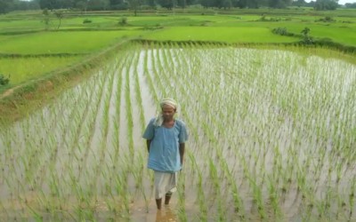 Voting open as young video makers in India compete to support Brazil in solving resource problems