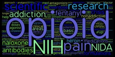 NIH-supported scientists elicit broadly neutralizing antibodies to HIV in calves, says study