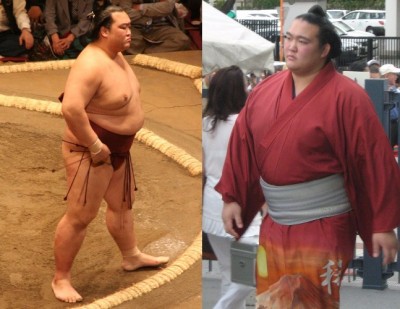  Japan names first homegrown Sumo champion in two decades