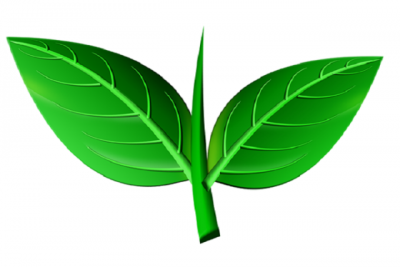 Election Commission to hear AIADMK's 'two leaves symbol' case today