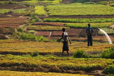  UN agency uses satellite data to aid farmers in Africa, Middle East boost water efficiency