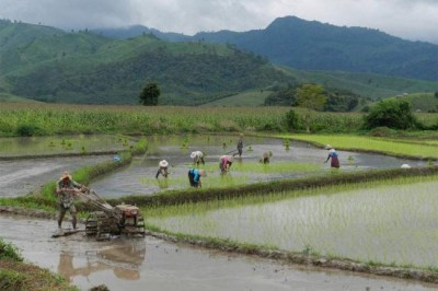 UN agricultural agency links food security and climate change in new guidelines