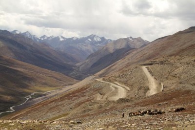 Help preserve land â€“ our 'home and future' â€“ UN urges on World Day to Combat Desertification