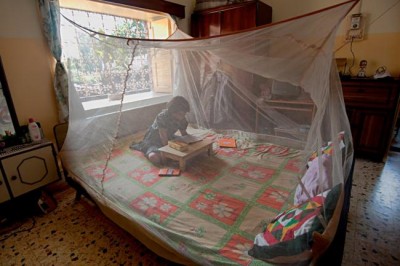 Ahead of World Malaria Day, UN says 'let's close the gap' in prevention coverage
