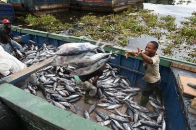  At Ocean Conference, UN agencies commit to cutting harmful fishing subsidies