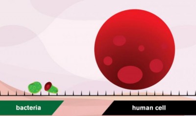 Spikes of graphene can kill bacteria on implants: Study