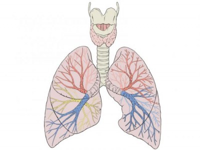 Researchers discover new type of lung cancer