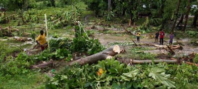 Haiti: UN agricultural development fund supports hurricane-affected farmers with $11 million