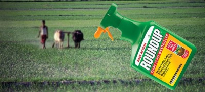 Monsanto lawsuit ruling a â€˜significant recognitionâ€™ of victimsâ€™ human rights, say UN rights experts