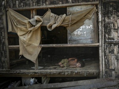 Accountability for atrocities in Myanmar â€˜cannot be expectedâ€™ within its borders â€“ UN investigator