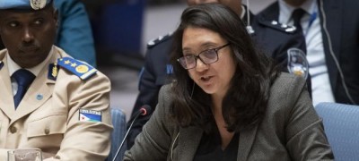 International crime gangs amass â€˜staggeringâ€™ profits in conflict zones, expert tells Security Council