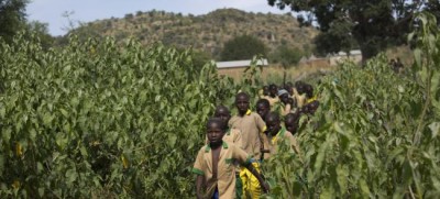 UN must bring more women police officers into the fold to be effective â€“ UN peacekeeping official
