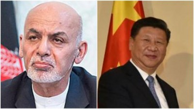 China welcomes Afghanistan government's move of declaring  temporary ceasefire with Taliban