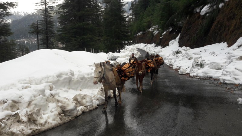 Kashmir in Photo: March 12, 2019