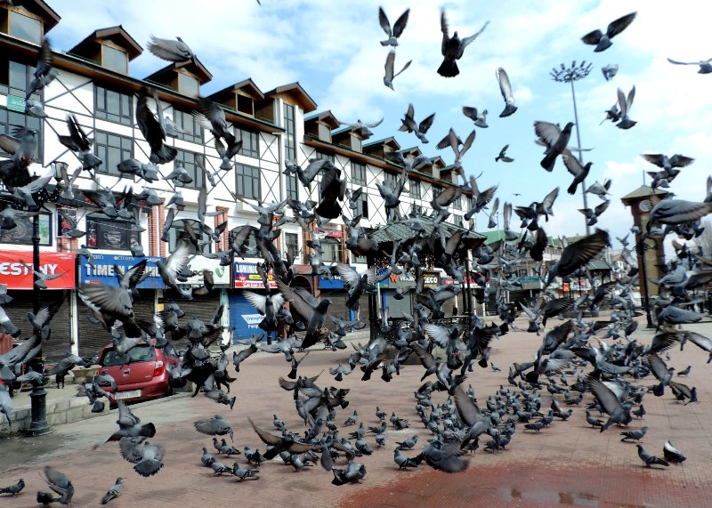 Business hub in Srinagar observes shut down