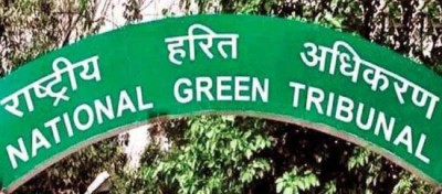 NGT orders Volkswagen to pay Rs 100 crore by tomorrow in emission case