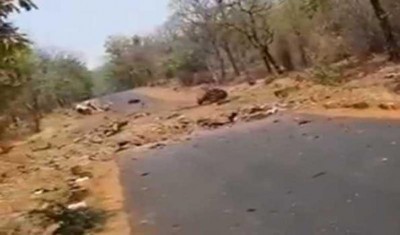 Gadchiroli Maoist attack: Father of civilian driver demands â€˜martyrâ€™ status for son