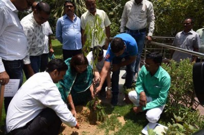 Renuka Singh plants tree sapling on World Environment Day