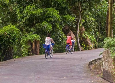 Experience some of the worldâ€™s rarest species of flora and fauna in Seychelles