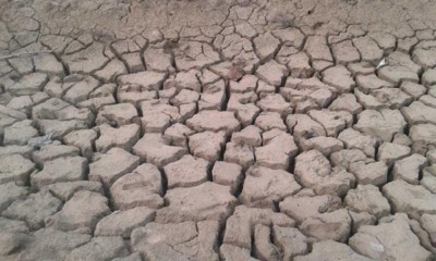 China earthquake: Death toll rises to 12, search operation continues