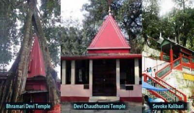 West Bengal: Mamata govt sets up tourism circuit in northern part