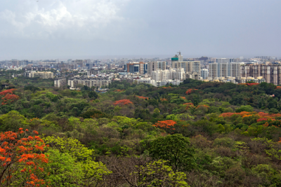 Aarey: Supreme Court to hear case today