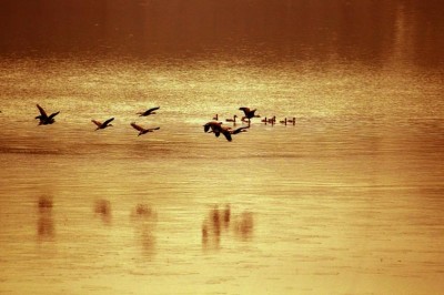 Antibiotics found in some of the worldâ€™s rivers, including in Bangladesh, exceed â€˜safeâ€™ levels, global study finds