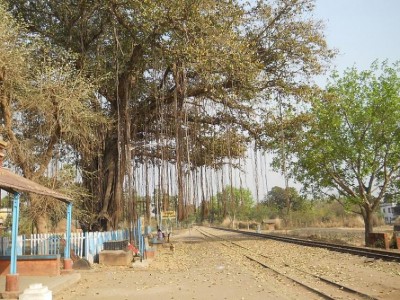 West Bengal: 1200 Kgs of Ammonium nitrate and 1000 detonators found in unauthorised go-down in Birbhum