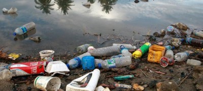 World Migratory Bird Day highlights deadly risks of plastic pollution