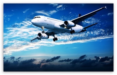 Rise in airport bird-hits poses higher risk to human lives: Report