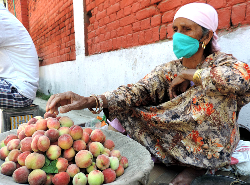 Glimpses of Kashmir in Covid times