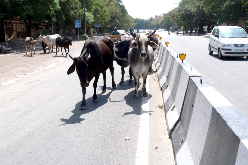 IndiaFightsCorona: Glimpses of the Ninth Day of lockdown