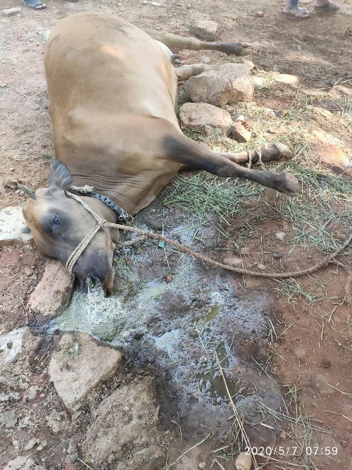 Gas leaks at chemical plant in Visakhapatnam, several die