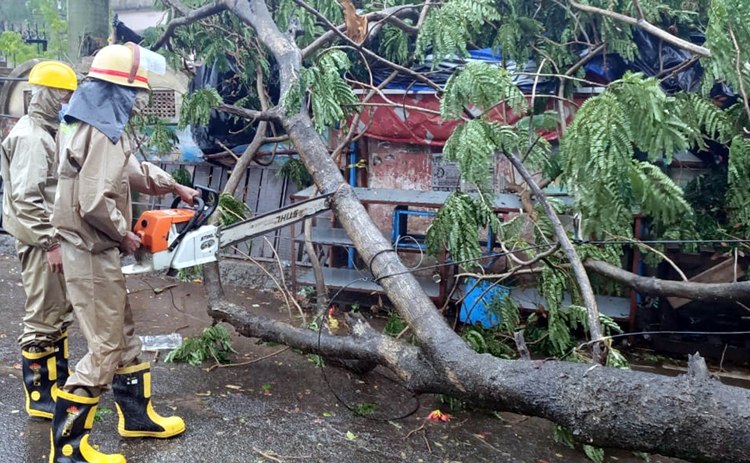 Cyclone Amphan: Fire Service personnel remove trees uprooted due to heavy winds in Odisha