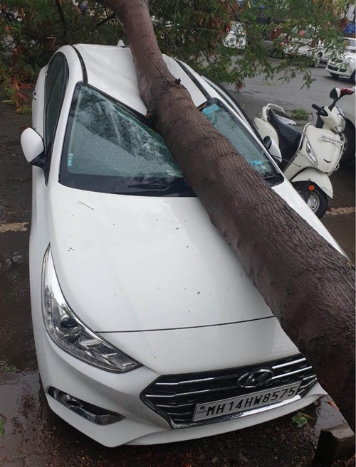 Cyclone Nisarga uproots tree in Pune