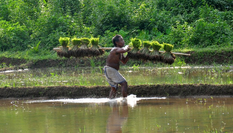 India in Photo : Aug 3 , 2020
