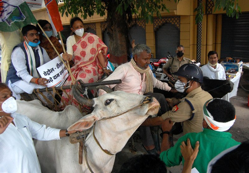 Congress protests against fuel price hike in Lucknow
