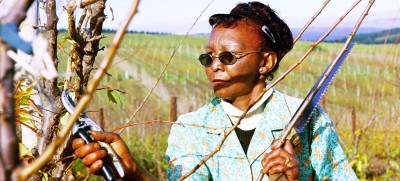 Trade pact could boost Africa’s income by as much as $450 billion: World Bank