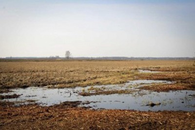 Blueprint launched to manage Earthâ€™s fragile peatland carbon sinks