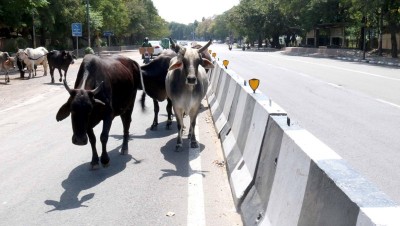 IndiaFightsCorona: Glimpses of the Ninth Day of lockdown