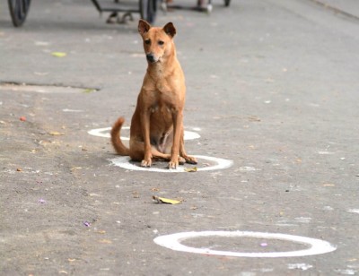 #IndiaFightsCorona: Glimpses of Lockdown