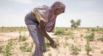 Parallel threats of COVID-19, climate change, require â€˜brave, visionary and collaborative leadershipâ€™: UN chief