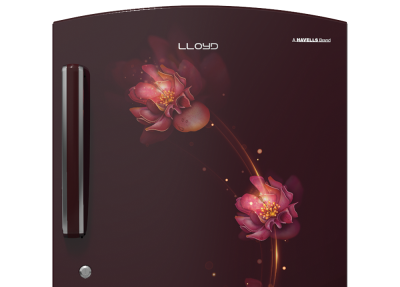 Refrigerator: Lloyd launches Direct Cool, Frost Free and Side by Side categories