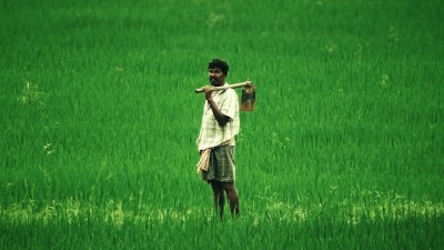 Urge govt to include Farmers’ Union recommendations in Pesticides Management Bill: Experts