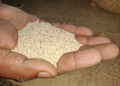 Nagaland: Security forces seize contrabands worth Rs 1.44 crore