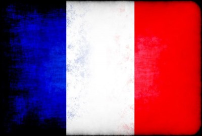 France's GDP likely to contract by 9 pct this year: INSEE