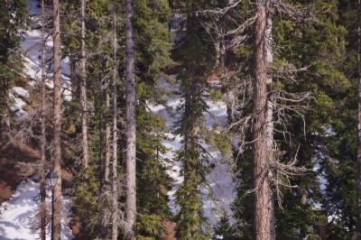 First geyser tank plant to be set up in Kashmir