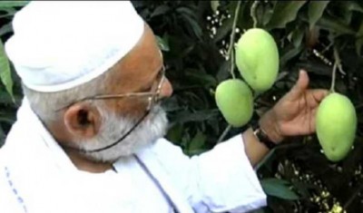 India's 'Mango man' names new variety of fruit on COVID-19 warriors
