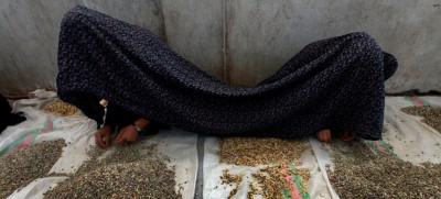 Improved Afghan law still fails victims of sex crimes and violence against women, UN report finds